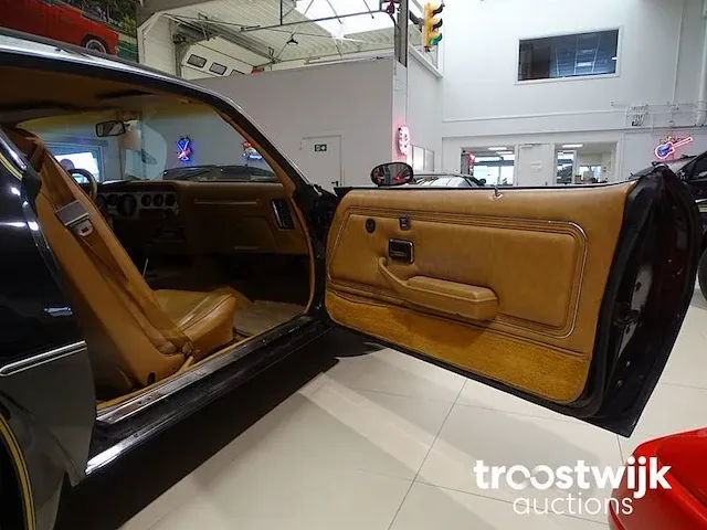 Pontiac '79 firebird trans am 6.6 v8 '10th anniversary' - afbeelding 13 van  53