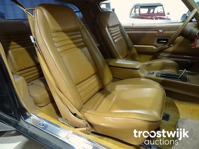 Pontiac '79 firebird trans am 6.6 v8 '10th anniversary' - afbeelding 15 van  53