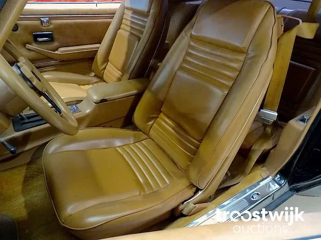 Pontiac '79 firebird trans am 6.6 v8 '10th anniversary' - afbeelding 27 van  53