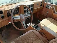 Pontiac phoenix lj coupé 1979 2.5 benzine - afbeelding 14 van  14