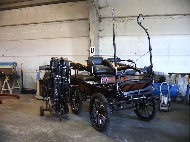 Poolse koets enkel/dubbelspan - afbeelding 1 van  10