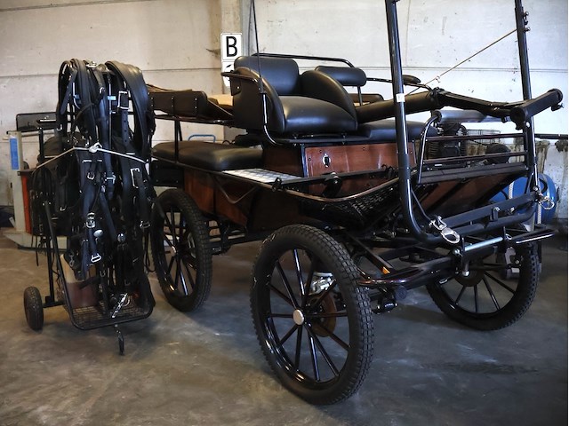 Poolse koets enkel/dubbelspan - afbeelding 3 van  10