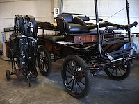 Poolse koets enkel/dubbelspan - afbeelding 3 van  10