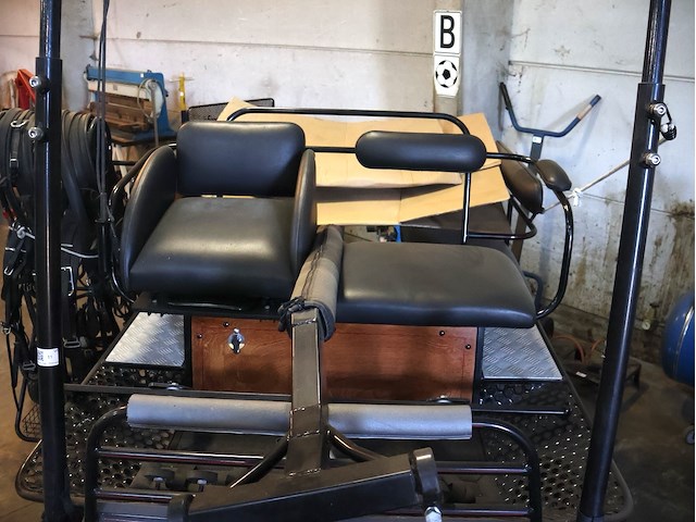 Poolse koets enkel/dubbelspan - afbeelding 5 van  10