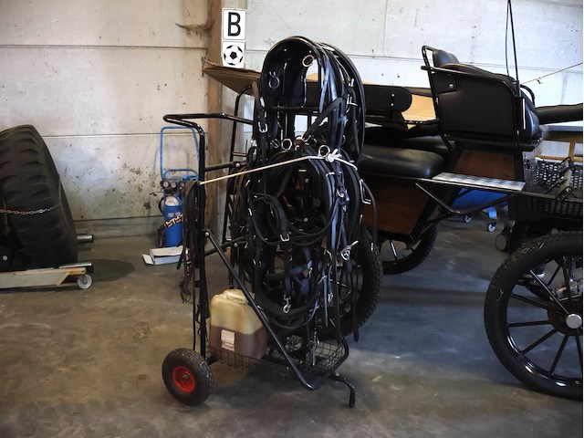 Poolse koets enkel/dubbelspan - afbeelding 7 van  10