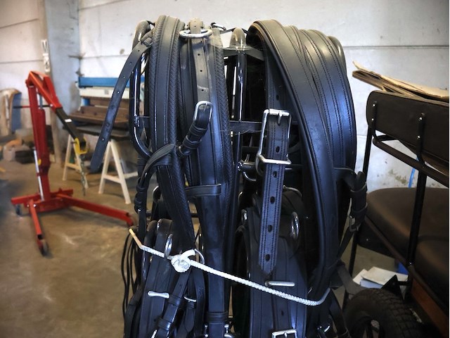 Poolse koets enkel/dubbelspan - afbeelding 8 van  10