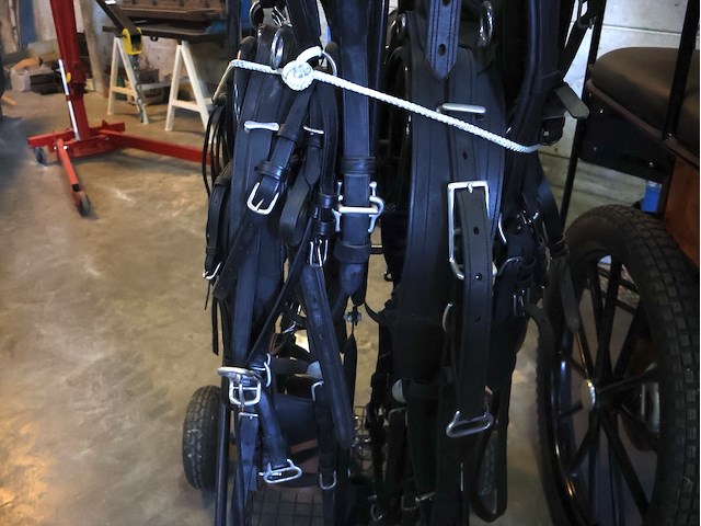 Poolse koets enkel/dubbelspan - afbeelding 9 van  10