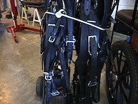 Poolse koets enkel/dubbelspan - afbeelding 9 van  10