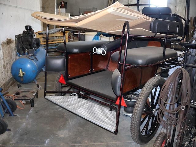 Poolse koets enkel/dubbelspan - afbeelding 10 van  10