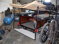 Poolse koets enkel/dubbelspan - afbeelding 10 van  10