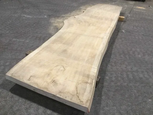 Populier boomstamtafel - afbeelding 1 van  7