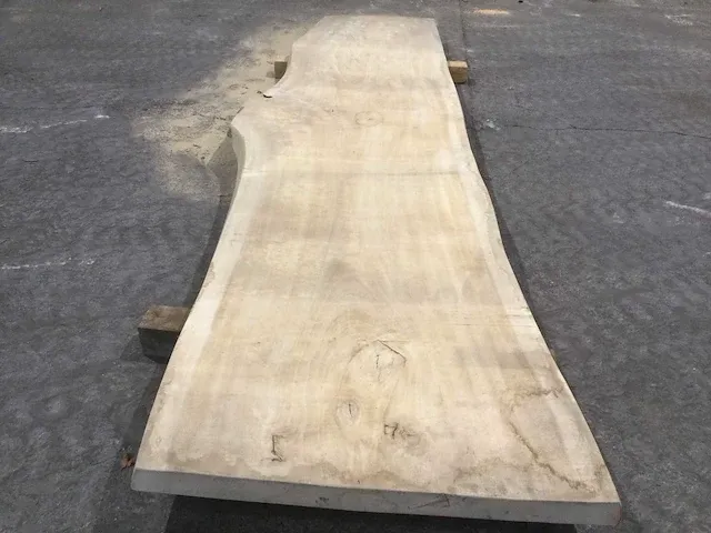 Populier boomstamtafel - afbeelding 2 van  7