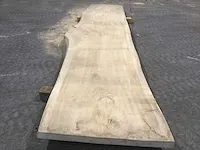 Populier boomstamtafel - afbeelding 2 van  7