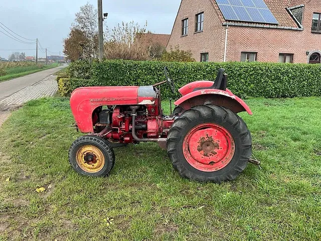 Porsche diesel standard - oldtimer tractor - afbeelding 10 van  15