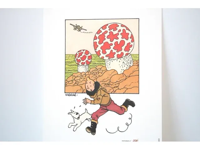 Portofolio 'de mysterieuze ster' (nr. 8/9) - 75 jaar kuifje - 17,5 x 24cm - genummerd - afbeelding 5 van  10