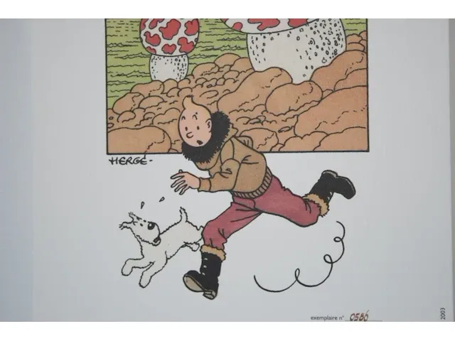 Portofolio 'de mysterieuze ster' (nr. 8/9) - 75 jaar kuifje - 17,5 x 24cm - genummerd - afbeelding 7 van  10