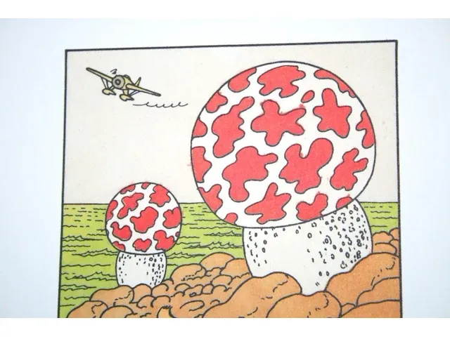 Portofolio 'de mysterieuze ster' (nr. 8/9) - 75 jaar kuifje - 17,5 x 24cm - genummerd - afbeelding 9 van  10