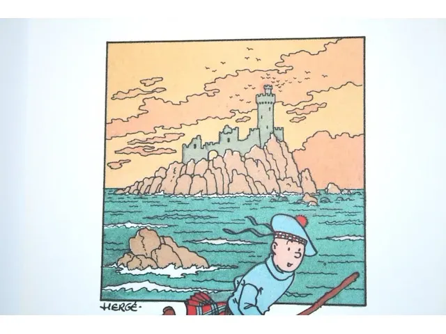 Portofolio 'de zwarte rotsen' (nr. 4/9) - 75 jaar kuifje - 17,5 x 24cm - genummerd - afbeelding 9 van  11