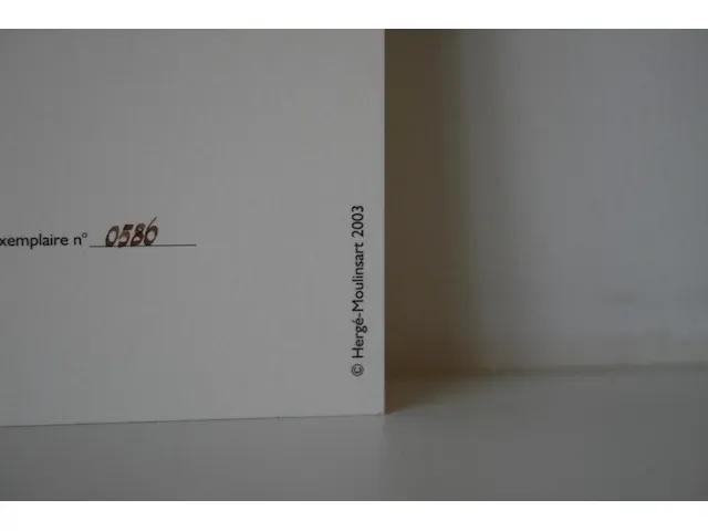 Portofolio 'kuifje in afrika' (nr. 1/9) - 75 jaar kuifje - 17,5 x 24cm - genummerd - afbeelding 3 van  12
