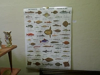 Poster - afbeelding 1 van  1
