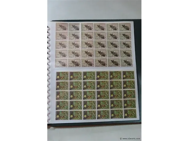 Postzegel album belgië - afbeelding 6 van  6