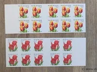 Postzegels belgië - afbeelding 1 van  1