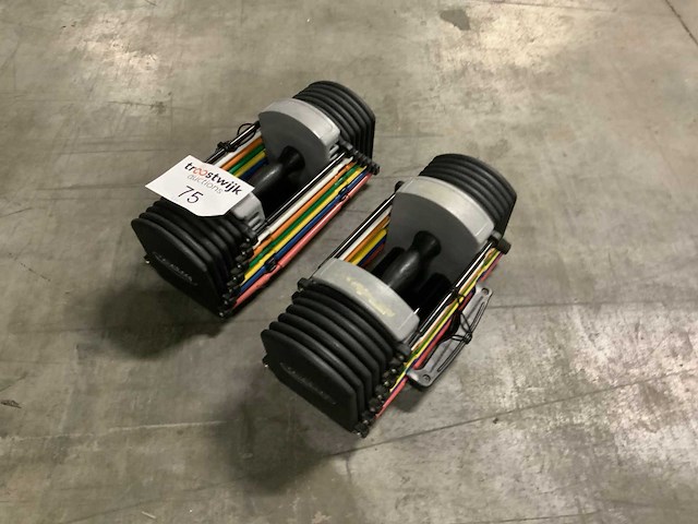 Powerblock set verstelbare dumbbells krachtstation - afbeelding 1 van  3