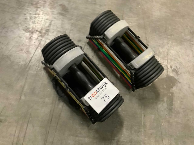 Powerblock set verstelbare dumbbells krachtstation - afbeelding 3 van  3