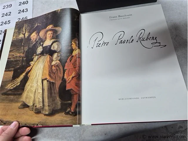 P.p.rubens - afbeelding 2 van  3