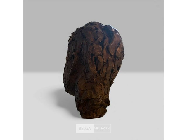 Prachtige bronzen kop john fitzgerald kennedy (jfk) - afbeelding 2 van  5