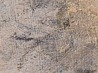 Prent achter glas - afbeelding 4 van  4
