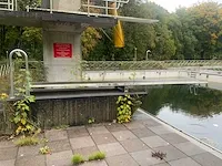 Primusz springplank (2x)