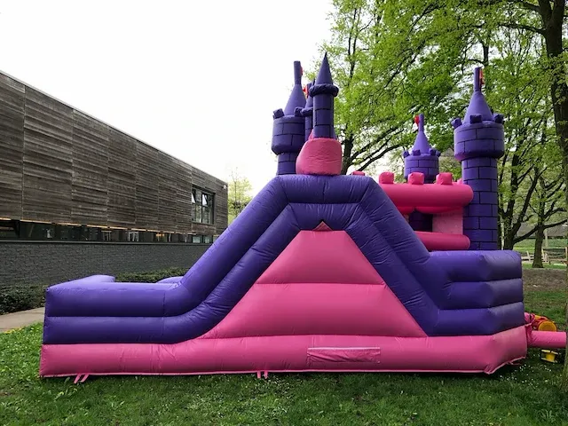 Prinsessenkasteel - afbeelding 4 van  7