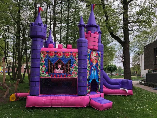 Prinsessenkasteel - afbeelding 7 van  7