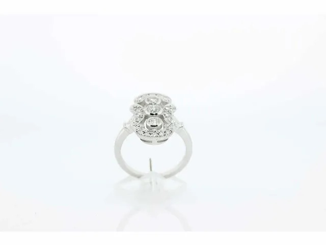 Prinsessering - 14 karaat witgoud - ring - afbeelding 1 van  6