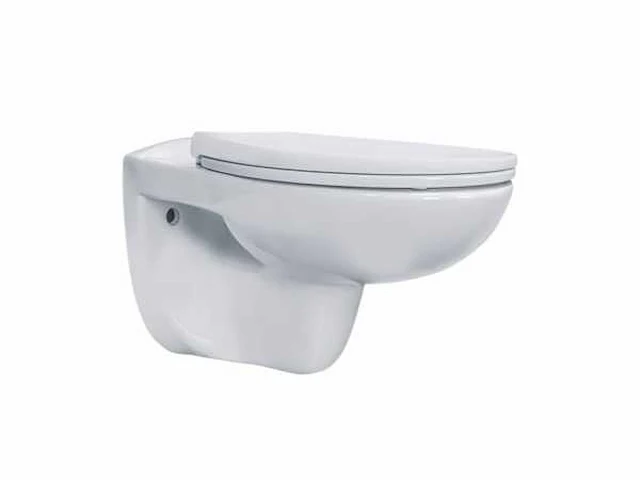 Pro ophang wc rimm-off + soft-close zitting pp - wit - toilet - afbeelding 3 van  3