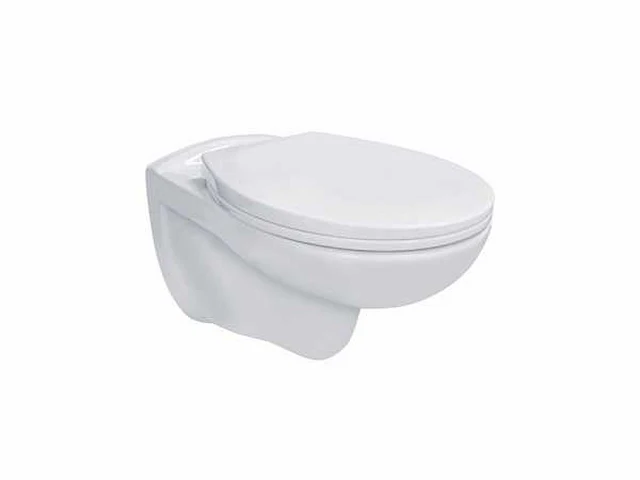 Pro ophang wc rimm-off + soft-close zitting pp - wit - toilet - afbeelding 1 van  3