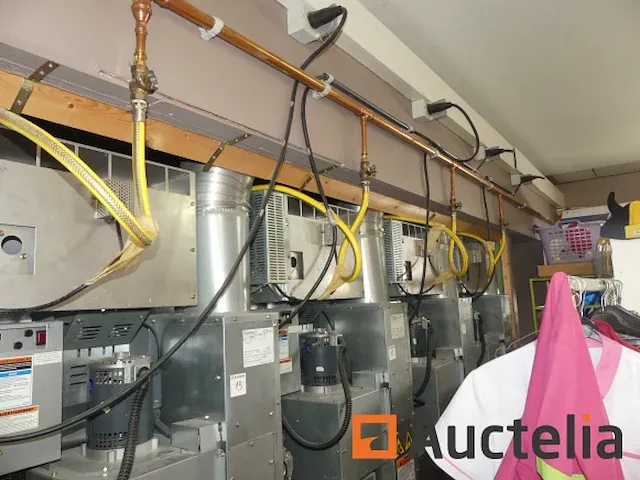 Professionele dubbele gasdroger met ipso dr335 muntmechanisme - afbeelding 6 van  15