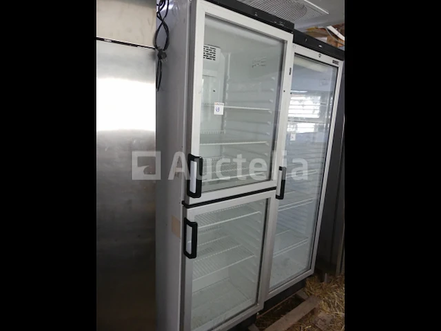 Professionele glazen koelkast met dubbele deur fkg370 - afbeelding 4 van  4
