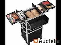 Professionele make-up borst, 4in1 make-up koffer - afbeelding 5 van  9