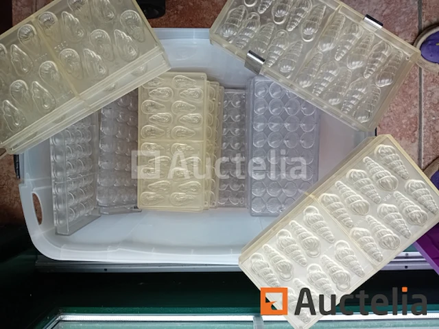 Professionele mallen voor guylian pralines (55 stuks) - afbeelding 6 van  6