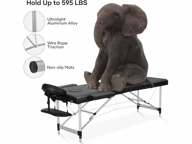 Professionele massagetafel draagbaar massagebed - afbeelding 4 van  8