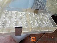 Professionele pralinevormen (55 stuks)