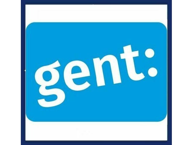 Professionele steenzaag zattoni forli - gent