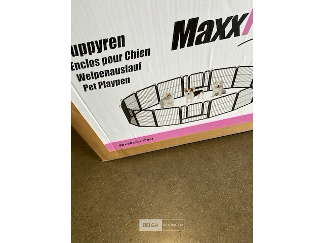 Puppyren 60x60 12 panelen - afbeelding 3 van  3