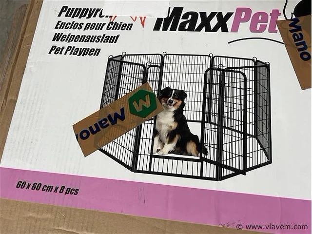 Puppyren - afbeelding 1 van  1