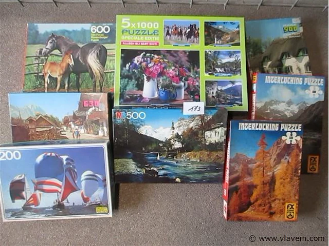 Puzzels - afbeelding 1 van  1