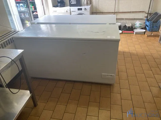 Pvc diepvrieskast zanussi met inhoud - afbeelding 1 van  6
