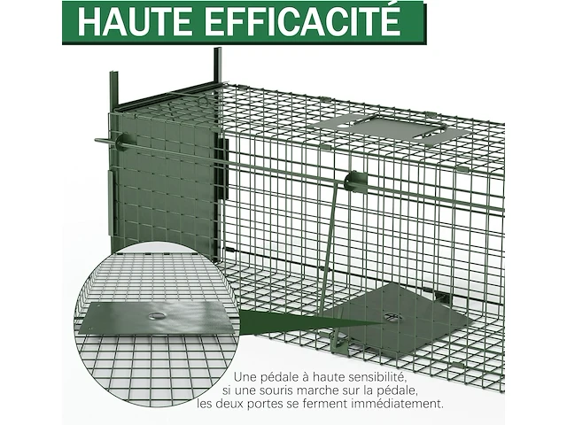 Qianruida rattenvanger - afbeelding 3 van  3