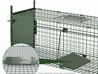 Qianruida rattenvanger - afbeelding 3 van  3